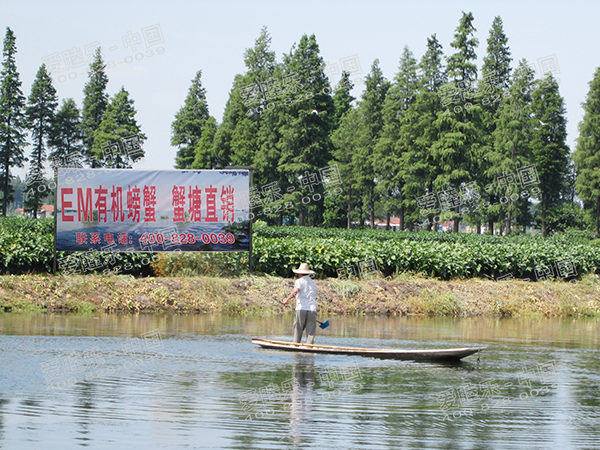 萬(wàn)眾期待的EM大閘蟹來(lái)啦！